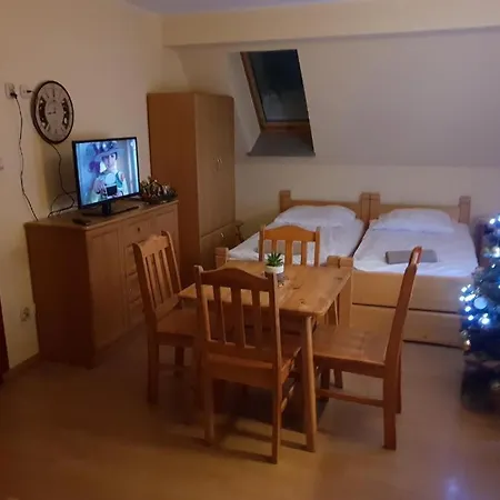 Pkp 700m Centrum 1200m Apartment Zakopane